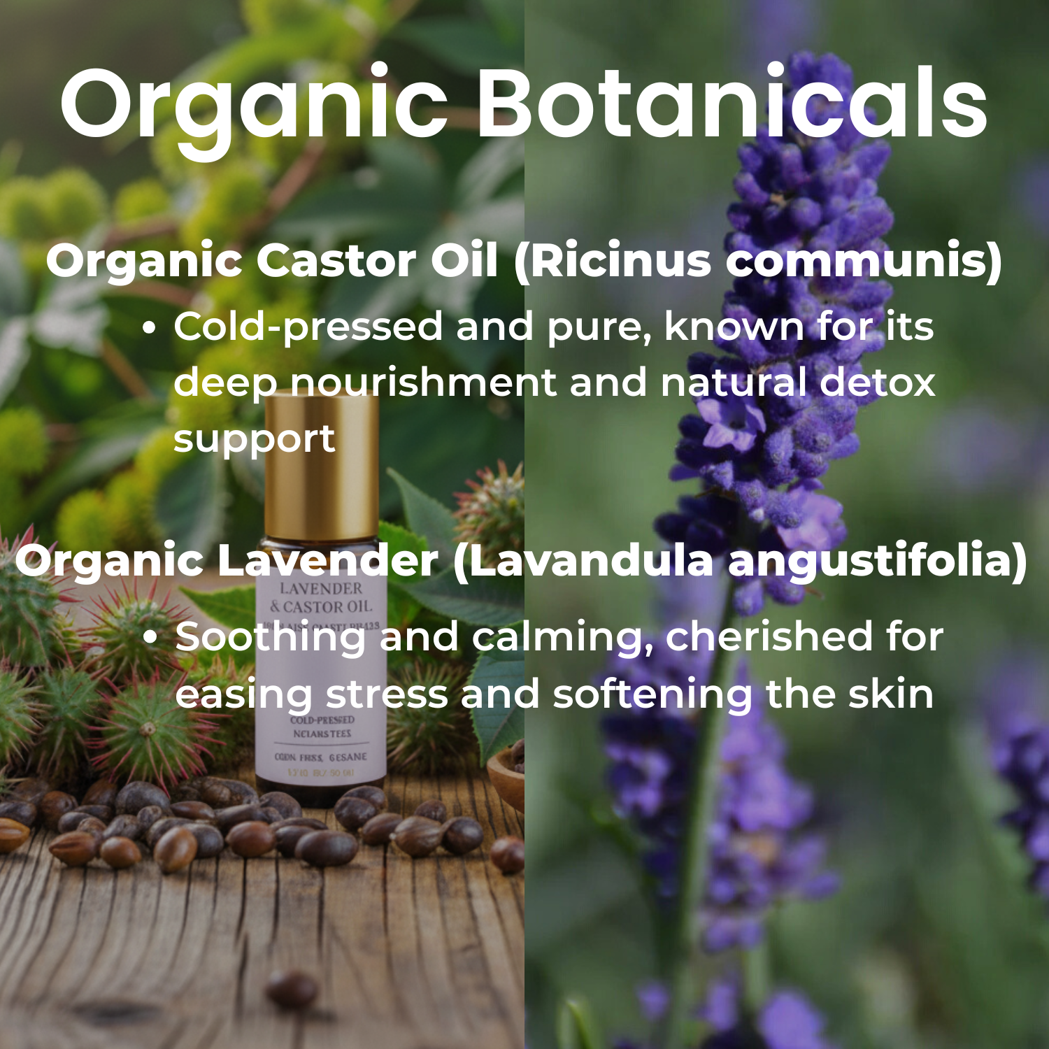 Organic Castor Oil Roll-on With Lavender