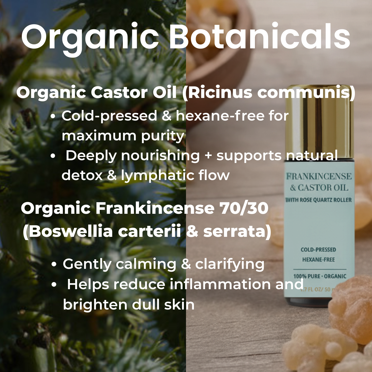 Organic Castor Oil Roll-on With Frankincense